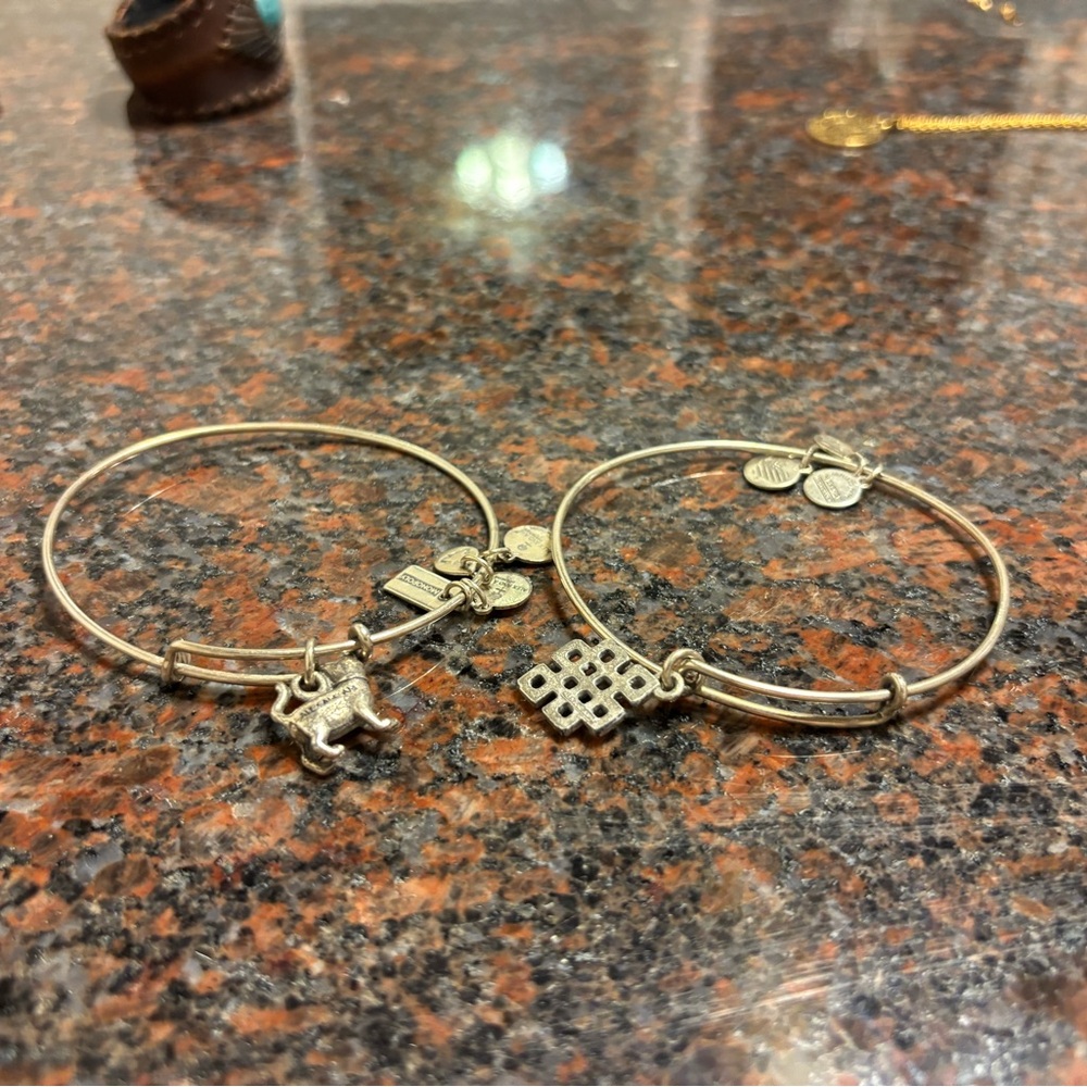 2 Alex and Ani bracelets